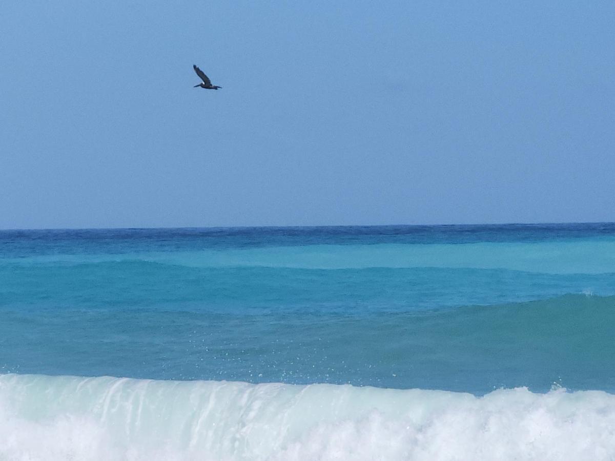 Beachfront Apartment, Quiet 4 Beds, 1 Bath, Ac, Wi-Fi, Hot Water, In Paraiso Near Los Patos Exterior photo